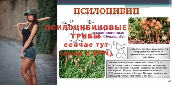 трава Тында