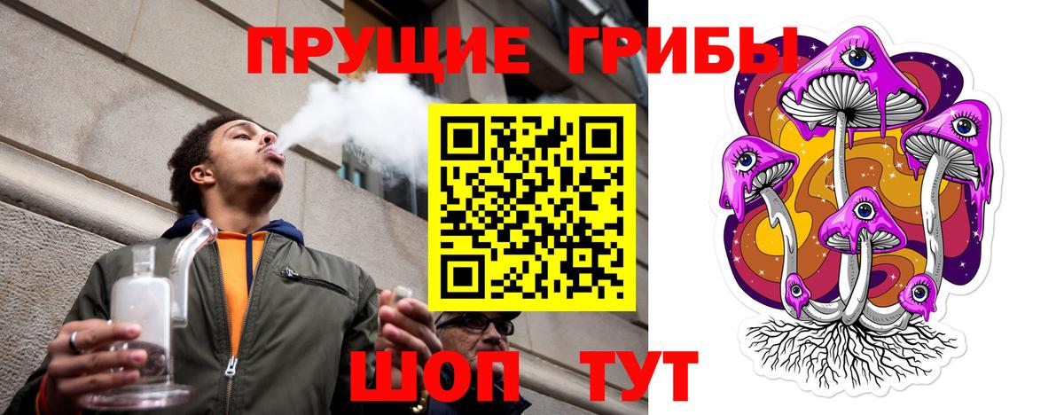Псилоцибиновые грибы Cubensis Обнинск