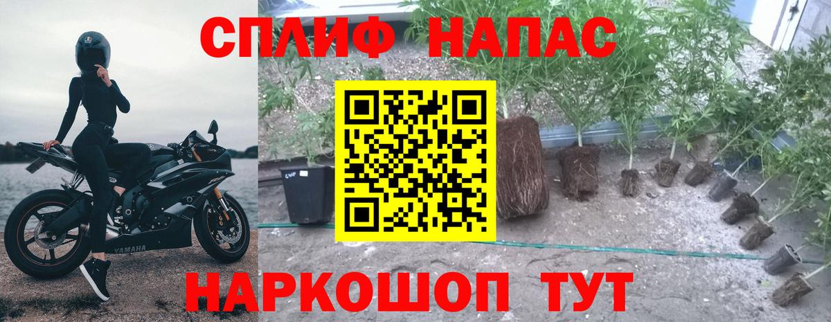 Канабис Ganja  Вход с VPN  Шишки марихуана конопля  Конопля конопля  Бошки марихуана Amnesia  Обнинск 